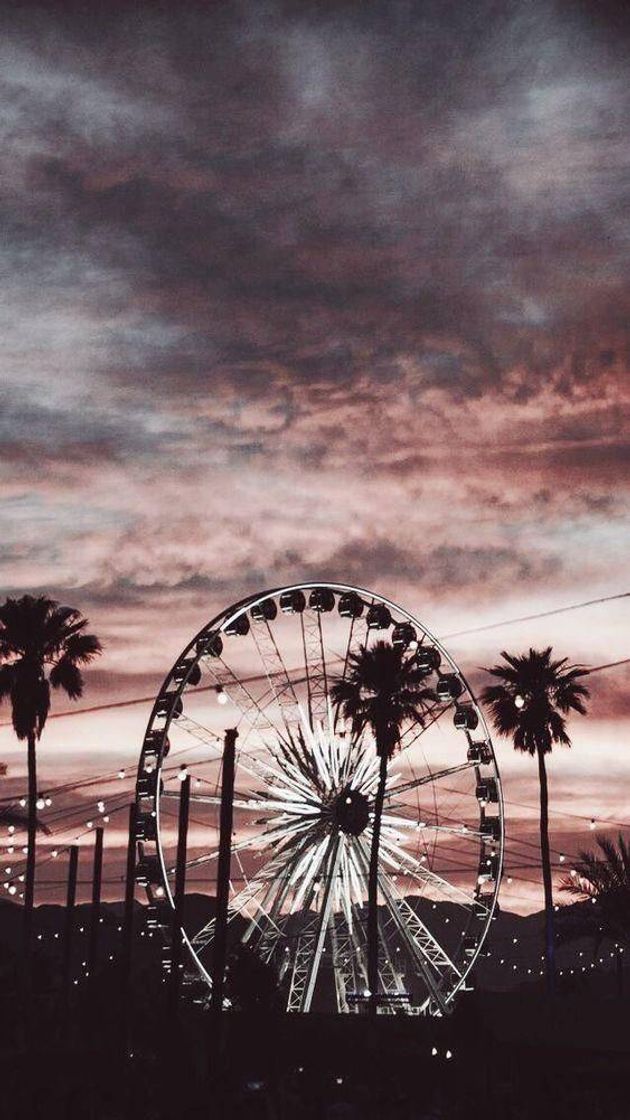 Moda 🎡