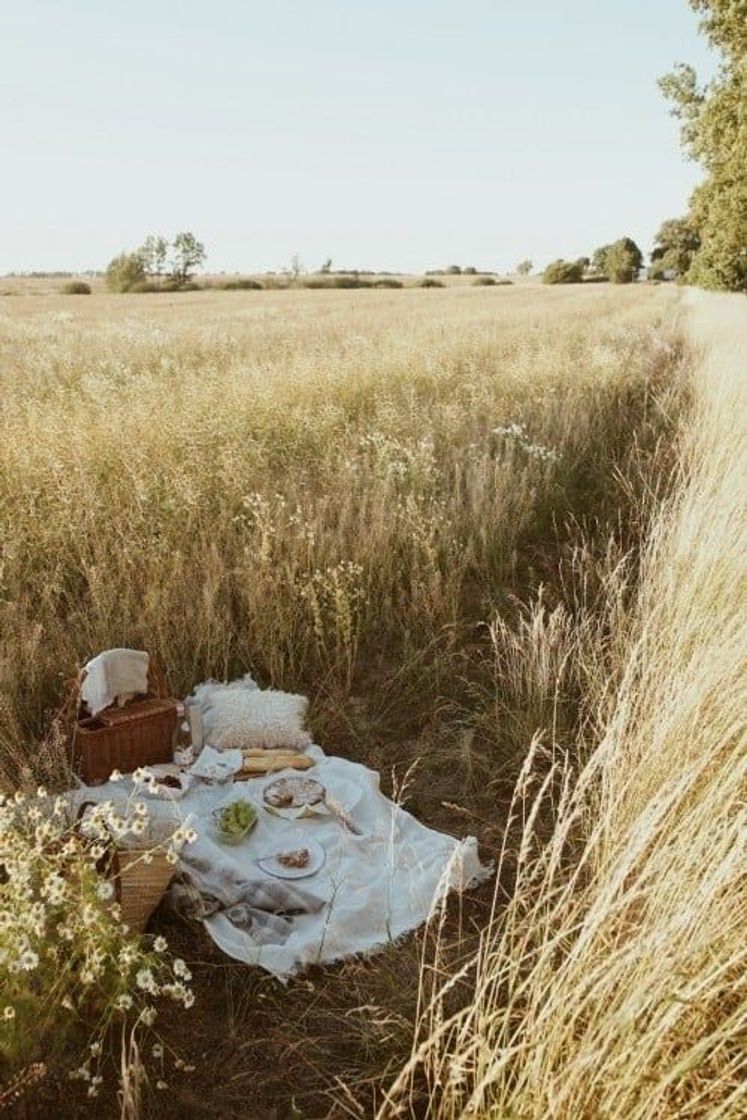 Moda picnic no campo