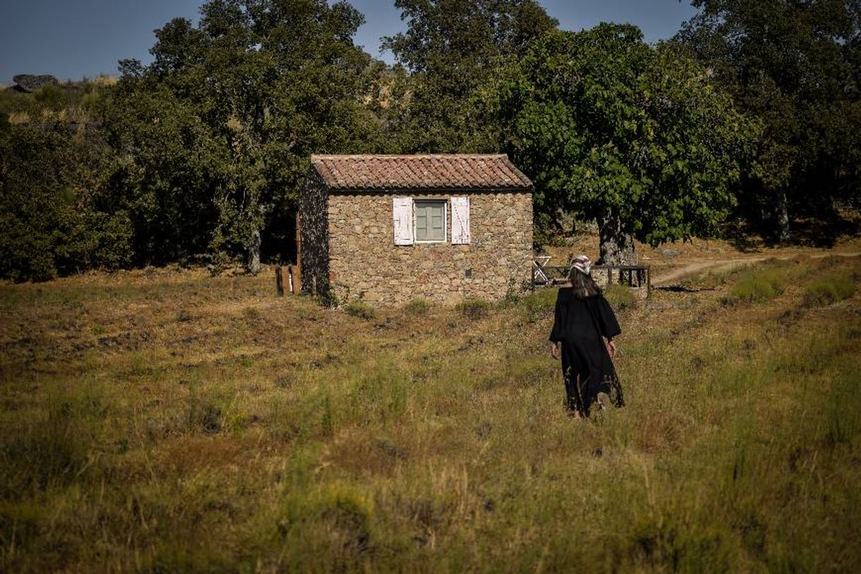 Place Quinta das Lavandas