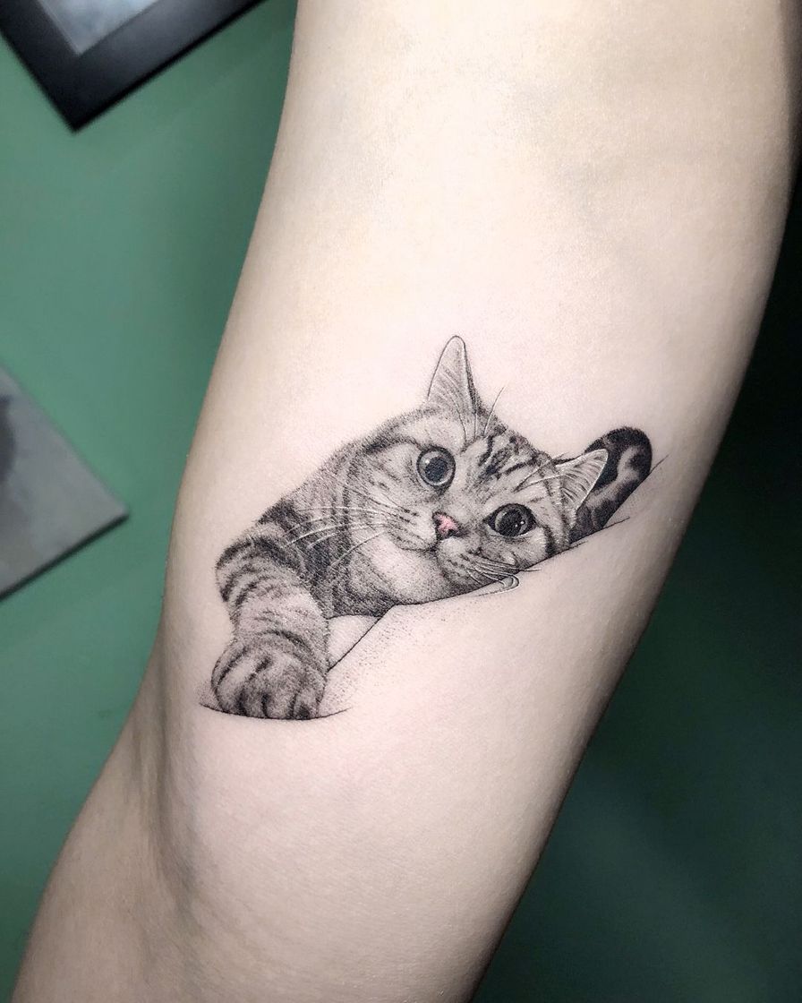 Fashion Tattoo Cat