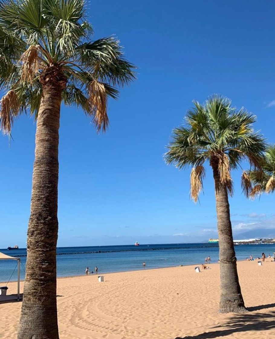 Place Playa de Las Teresitas