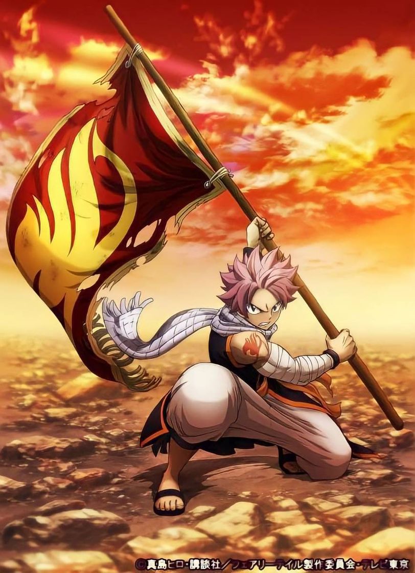 Serie Fairy Tail