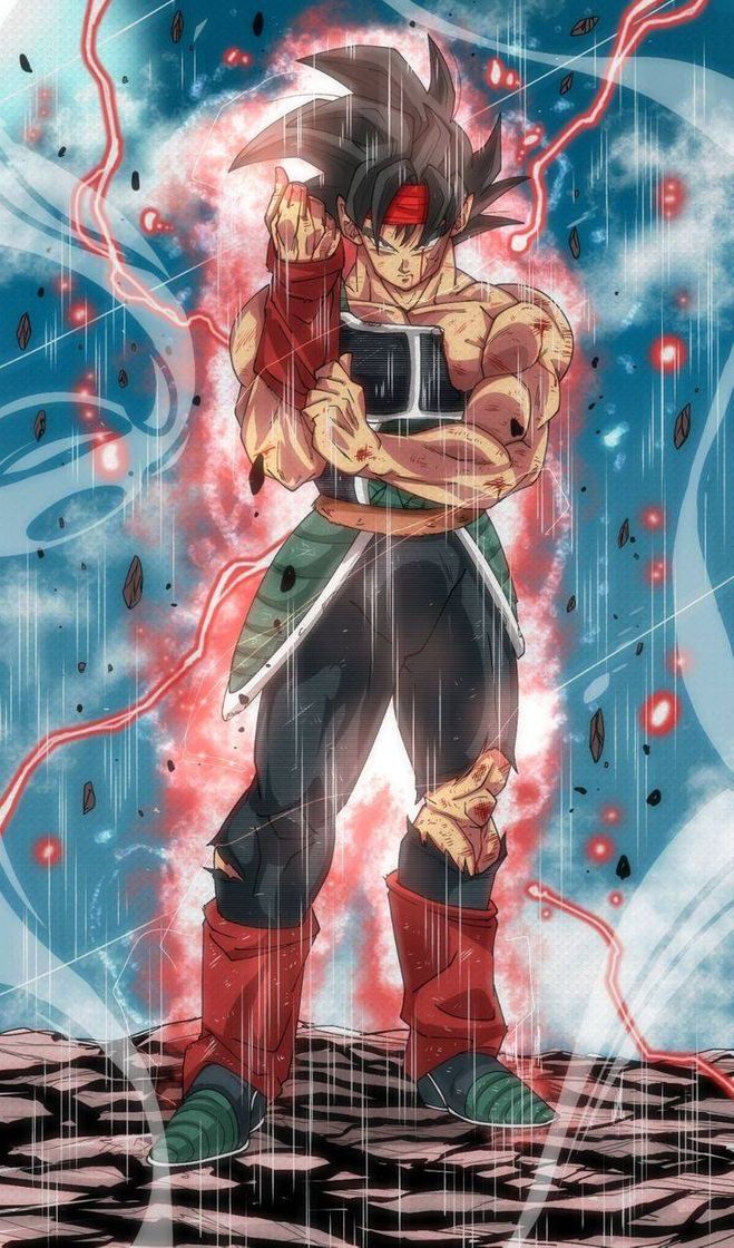 Moda Bardock