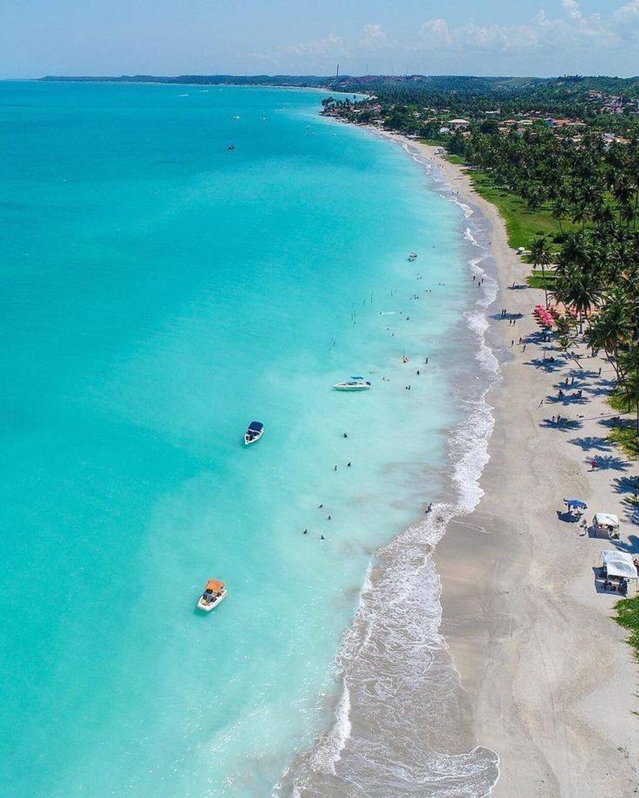 Social Alagoas