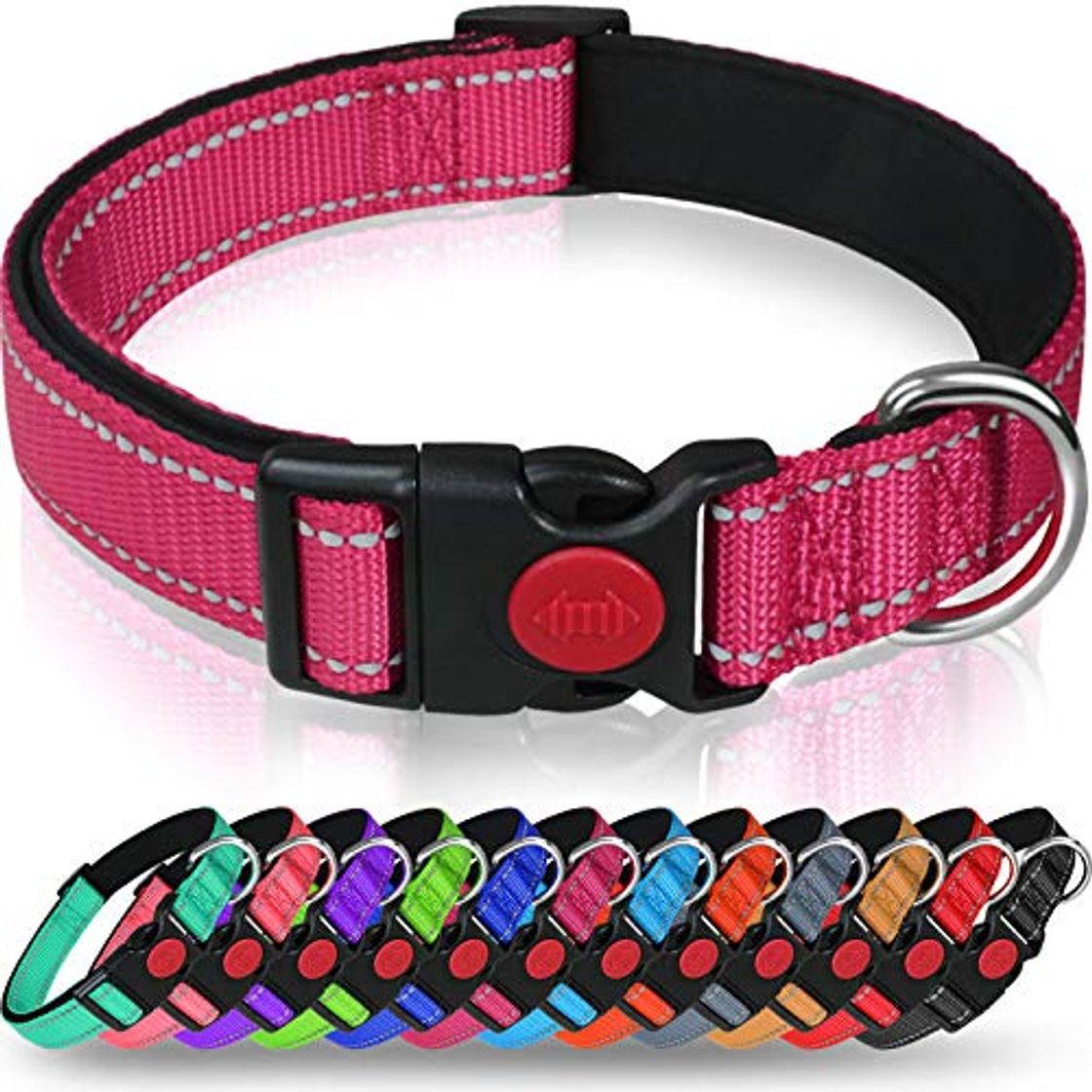 Producto Taglory Collar Perro