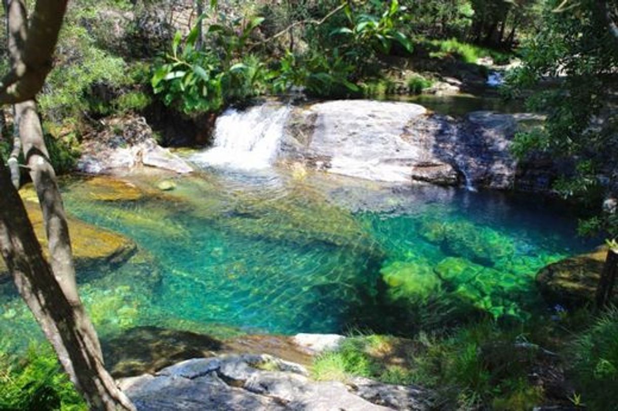 Lugar Cascata do Pincho