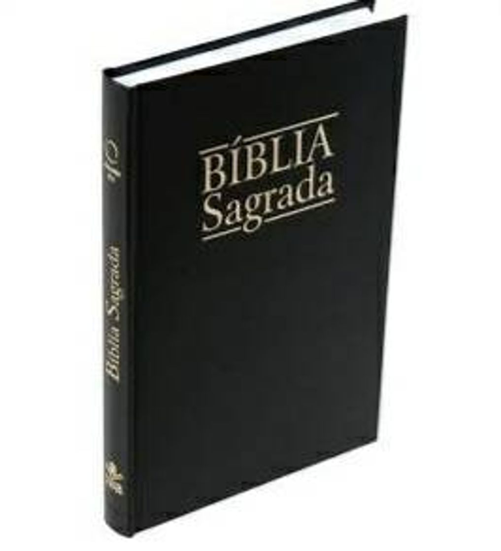 Book Livro Bíblia Sagrada