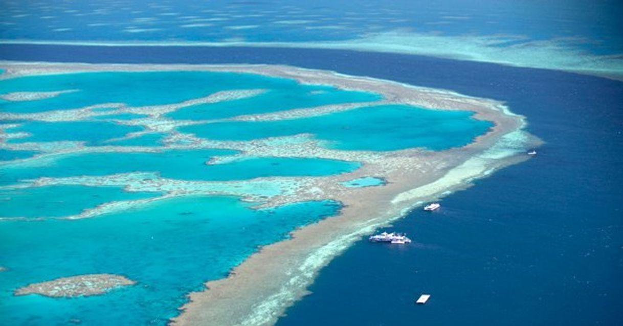 Place Great Barrier Reef