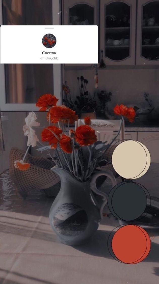 Social insta filtros 