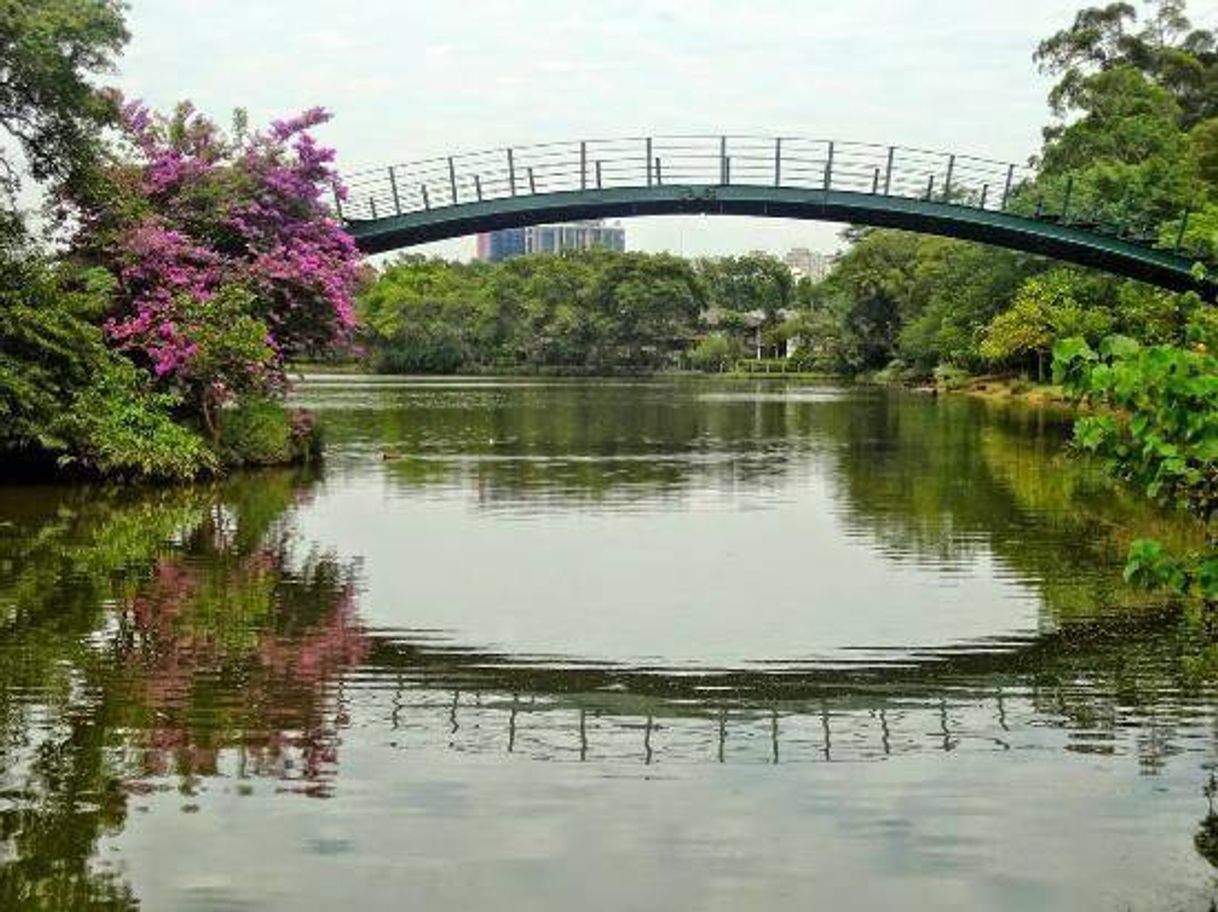 Fashion Ibirapuera - SP 