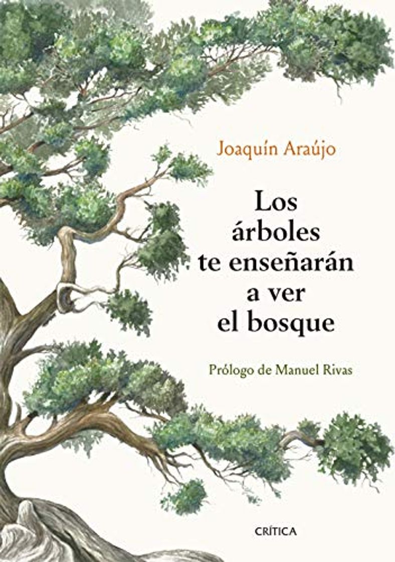 Book Los árboles te enseñarán a ver el bosque: ------: ------