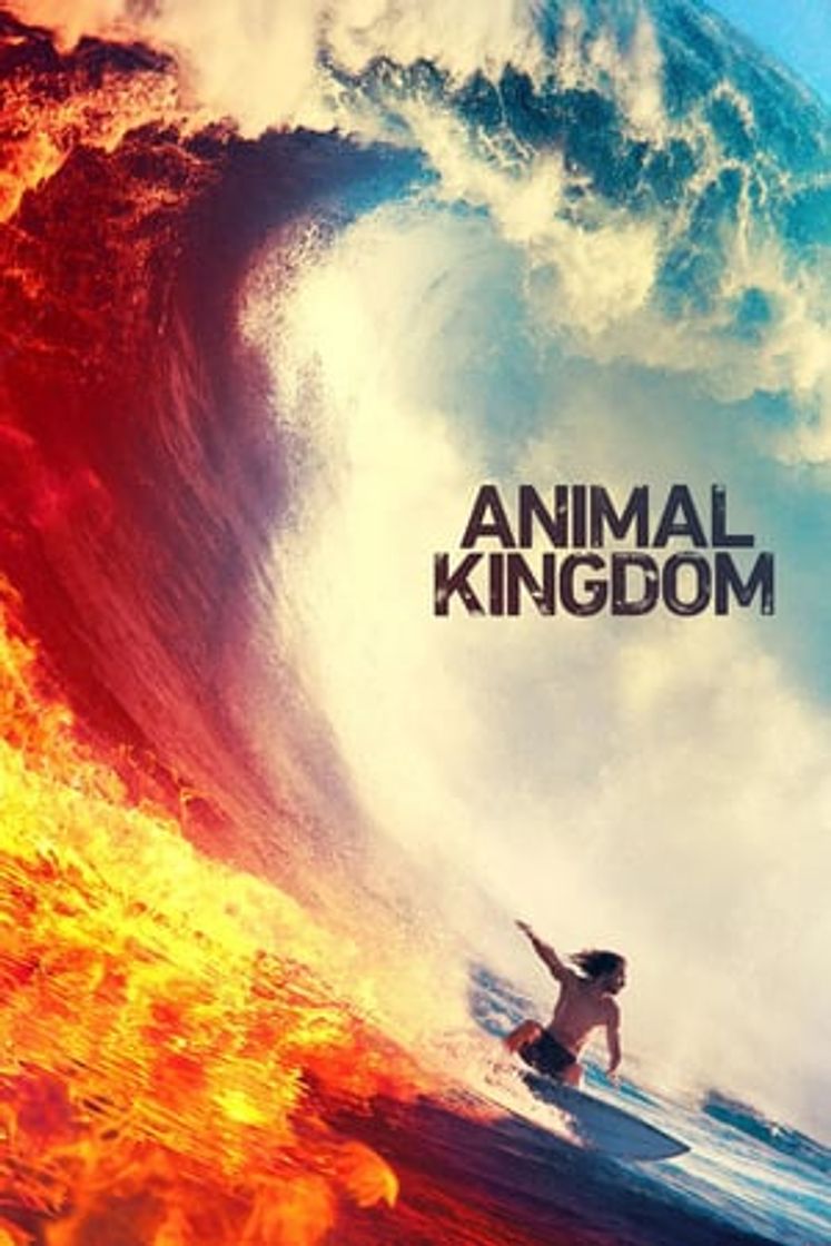 Serie Animal Kingdom