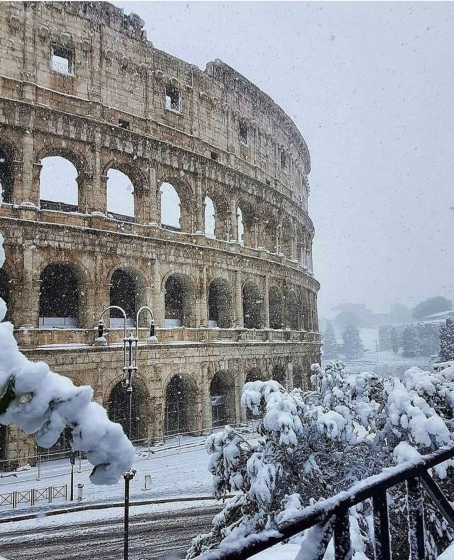 Lugar Coliseo de Roma