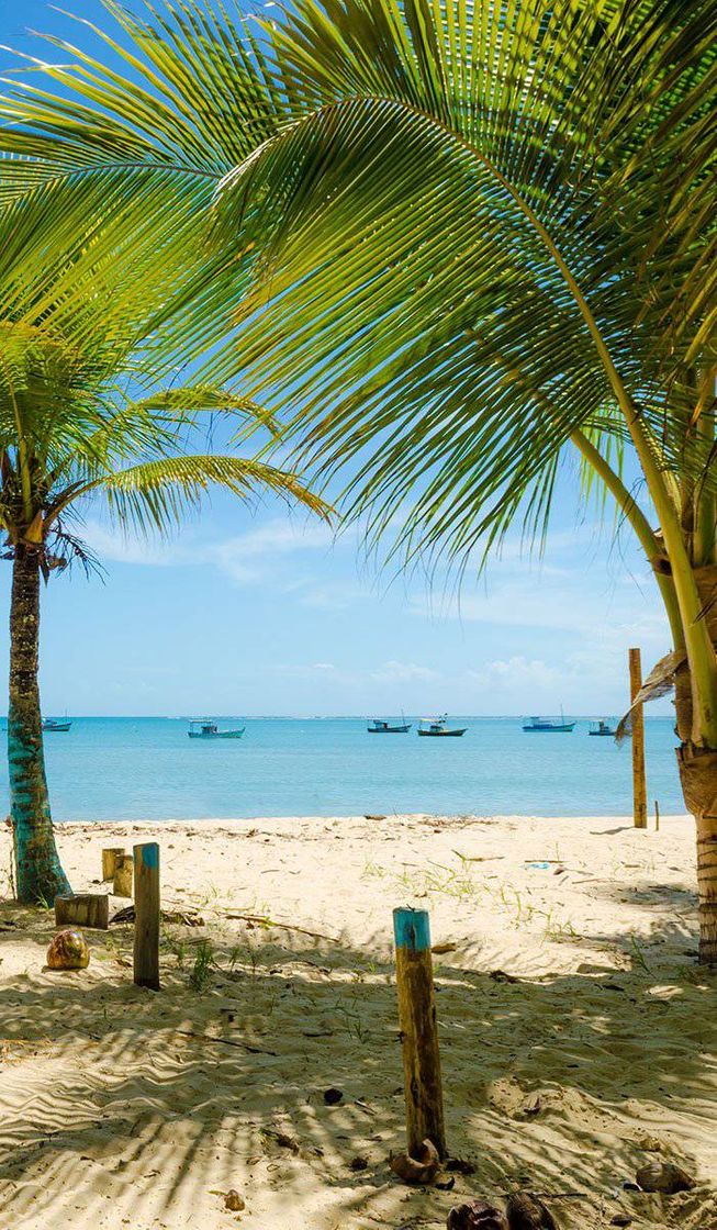 Place Porto Seguro