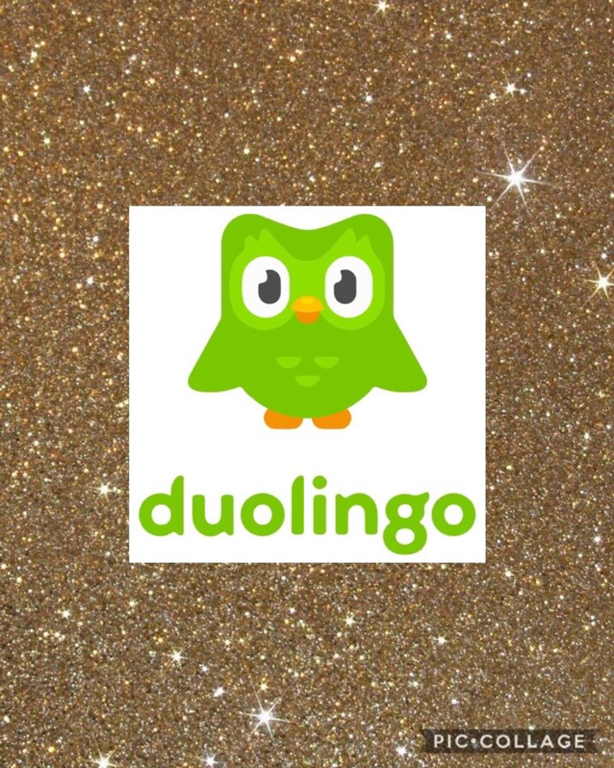 App Duolingo - Language Lessons