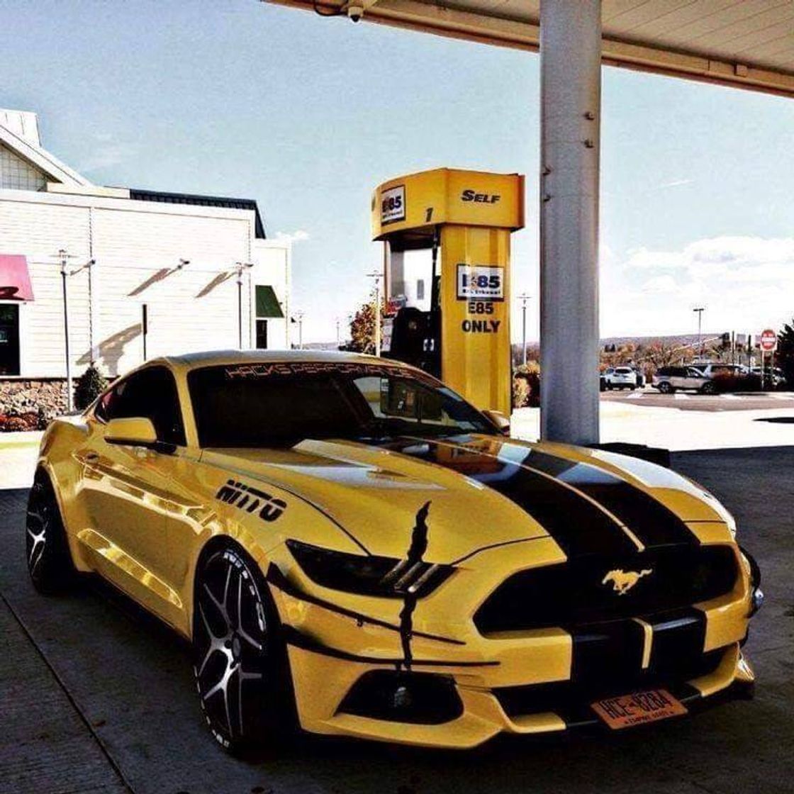 Moda Mustang 💯