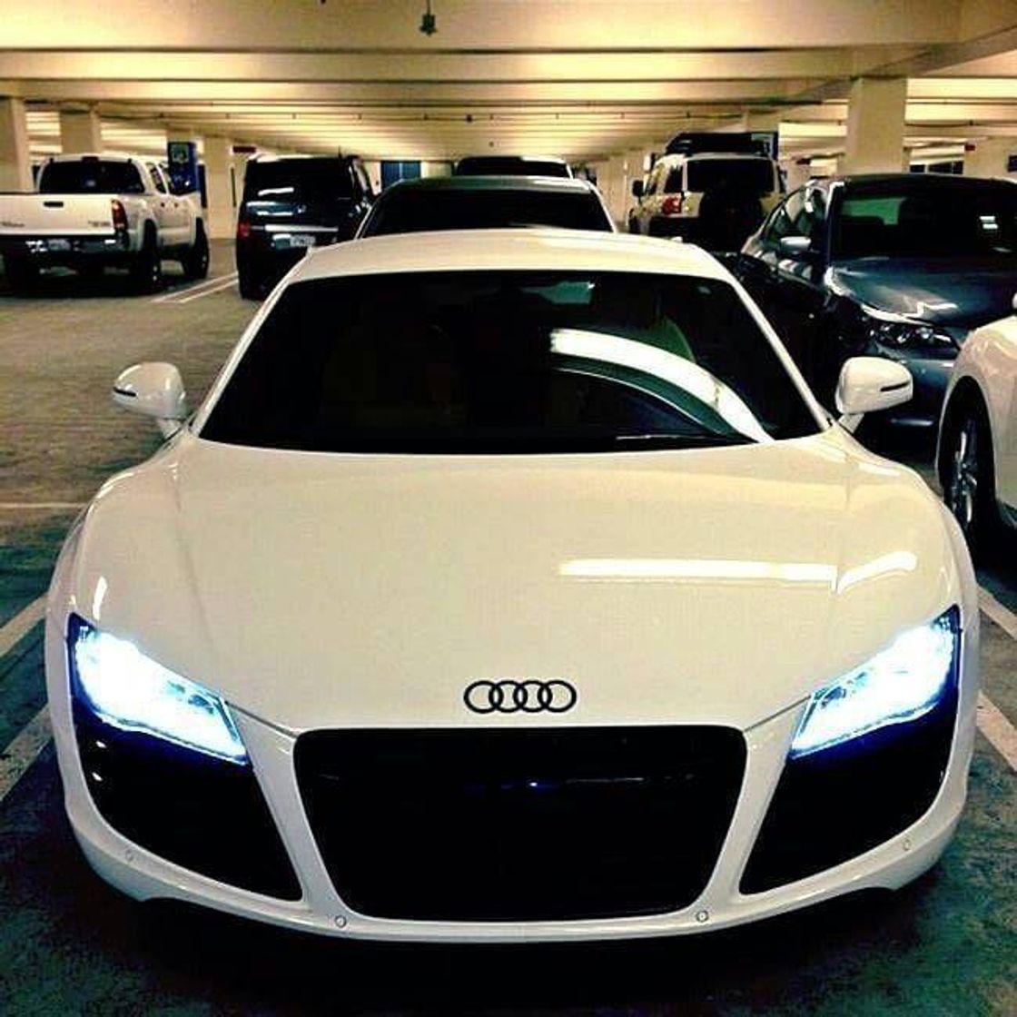 Social Audi ⚡😍