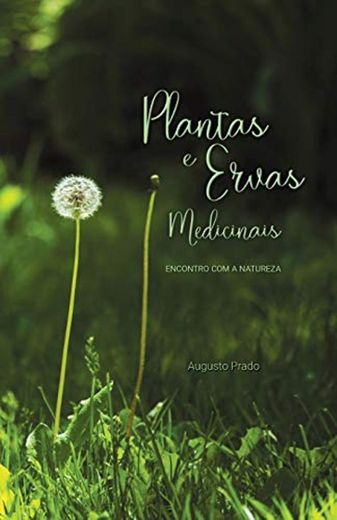 Plantas & Ervas Medicinais: Encontro com a Natureza