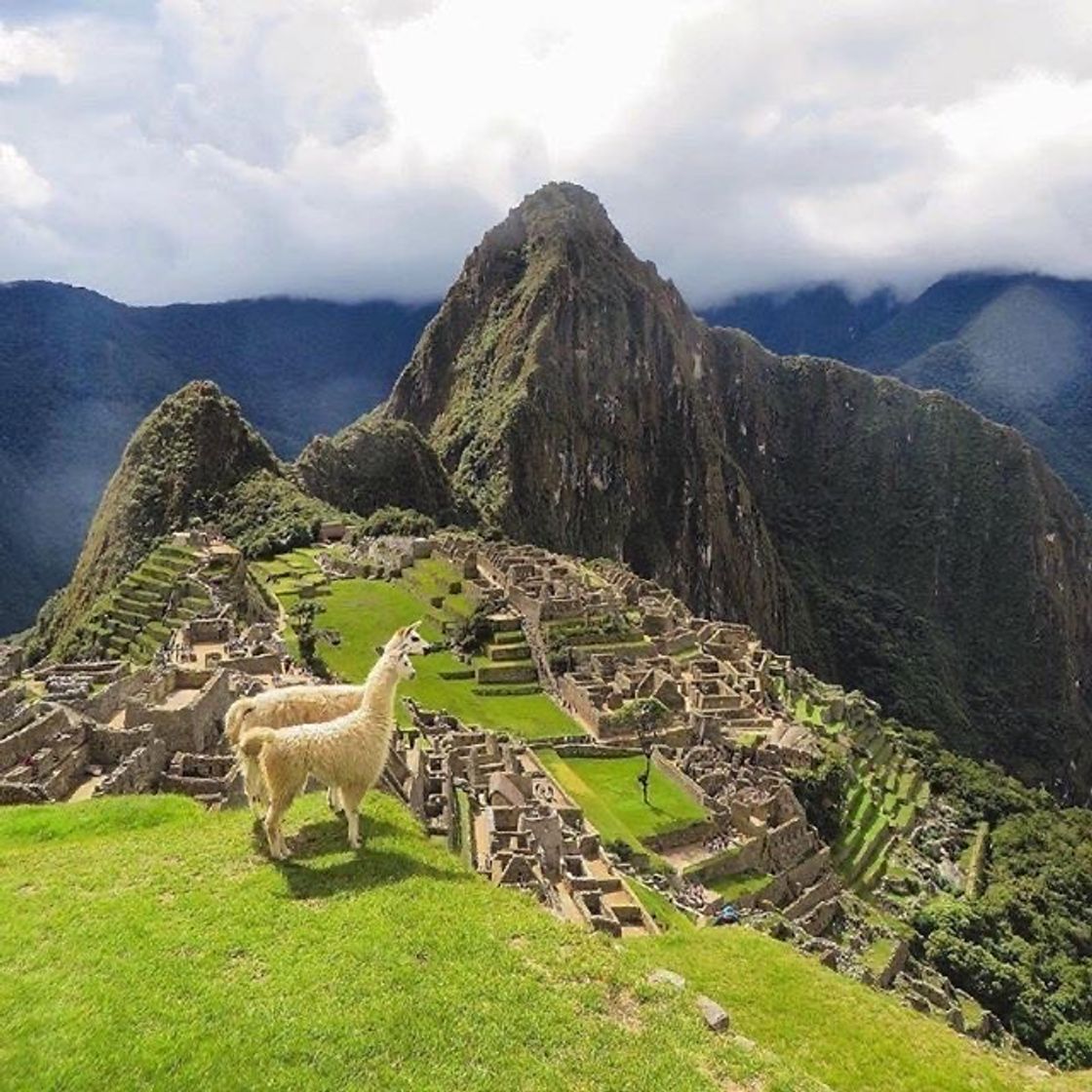 Fashion Machu Picchu