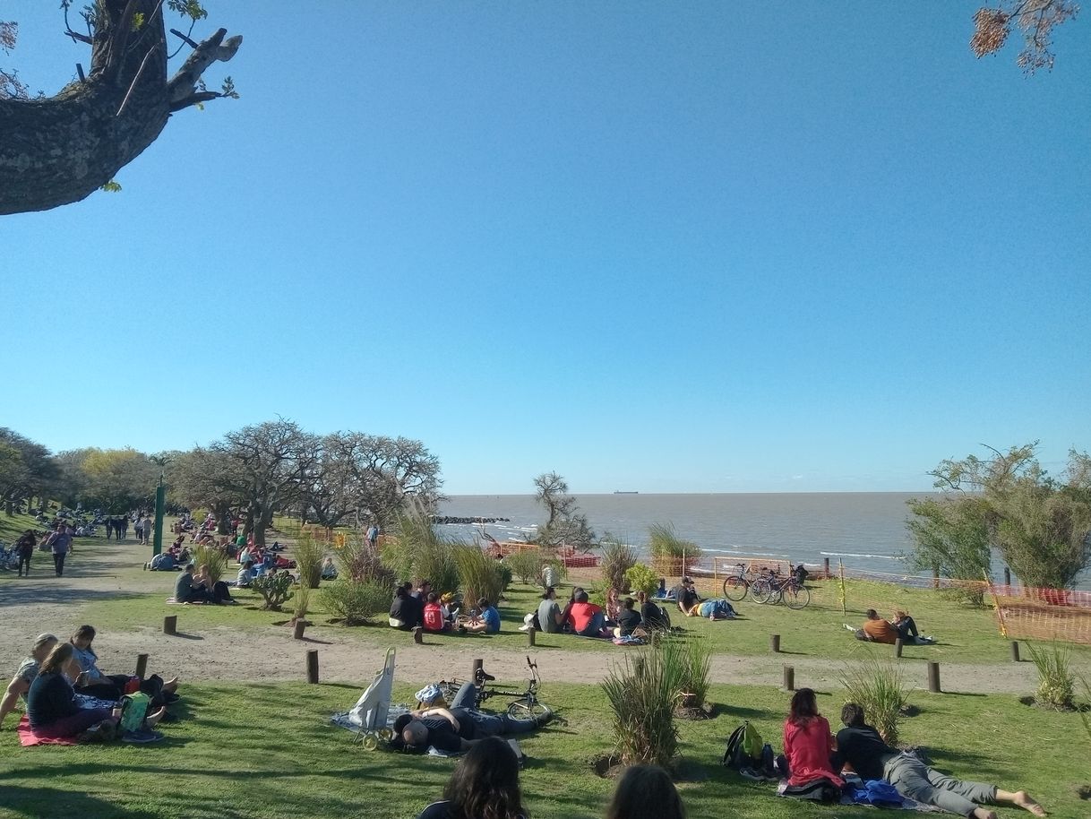 Lugar Reserva Ecológica Costanera Sur