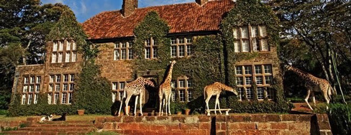 Lugar Giraffe Manor