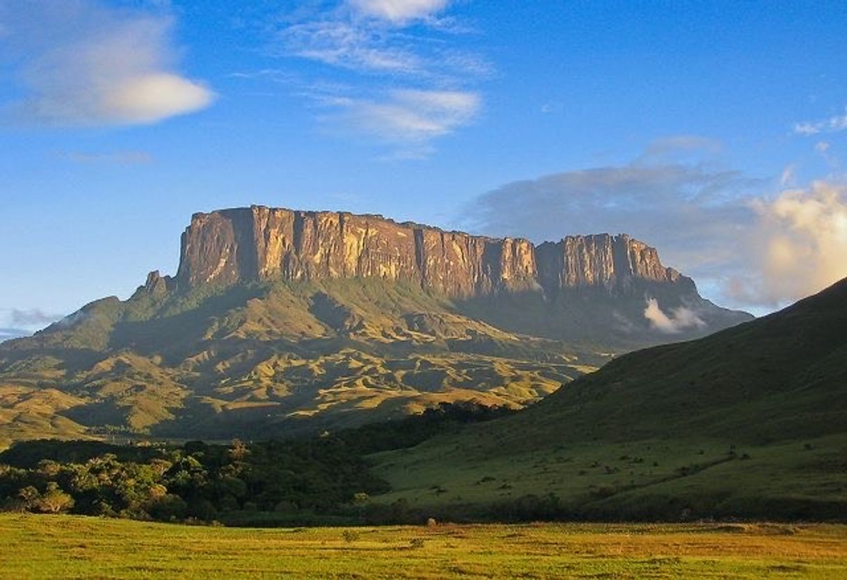 Fashion Monte Roraima