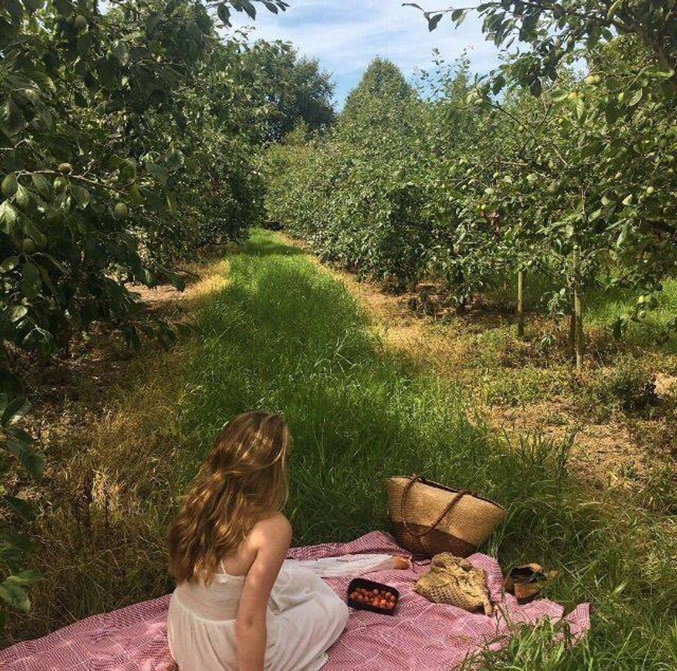 Social ☕COTTAGECORE☕