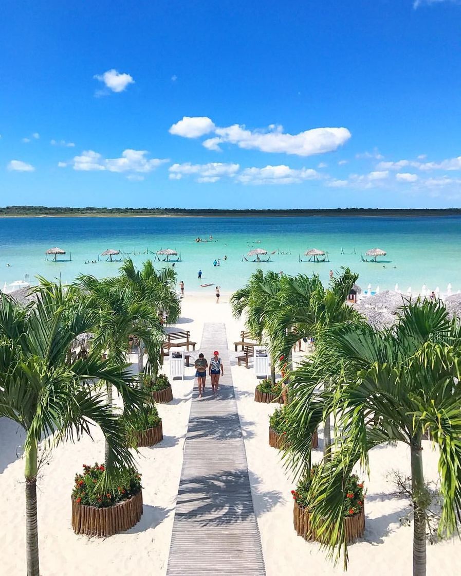 Lugar Lagoa do Paraíso de Jijoca de Jericoacoara