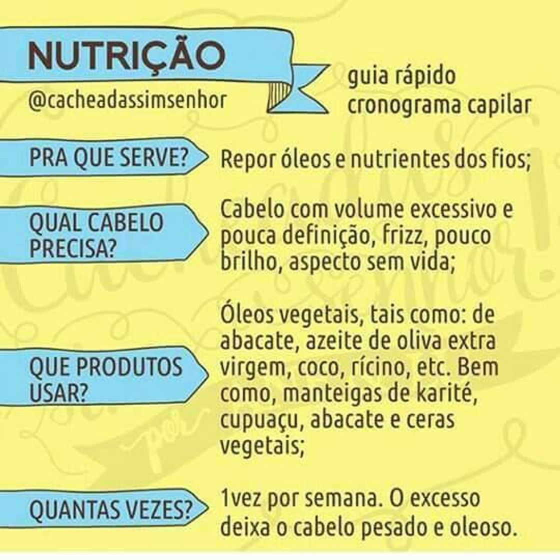 Fashion Guia rápido de nutrição 