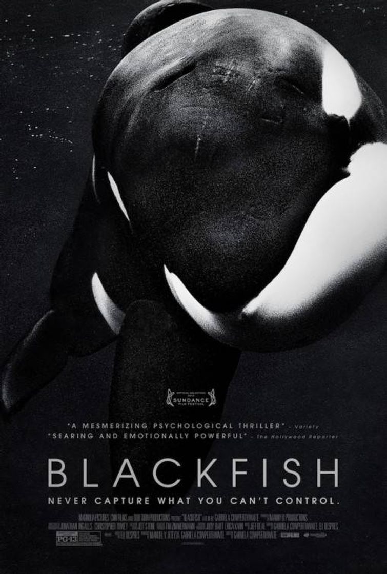 Película Black Fish