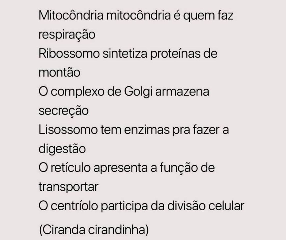 Moda ajuda na prova de biologia