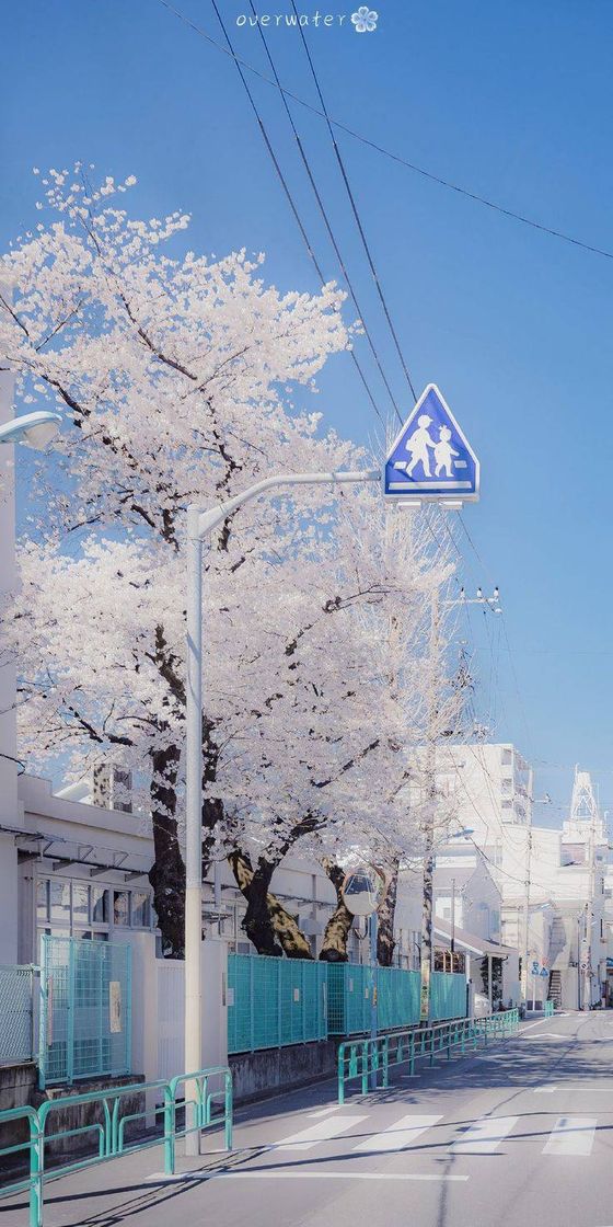  •°• spring day •°•