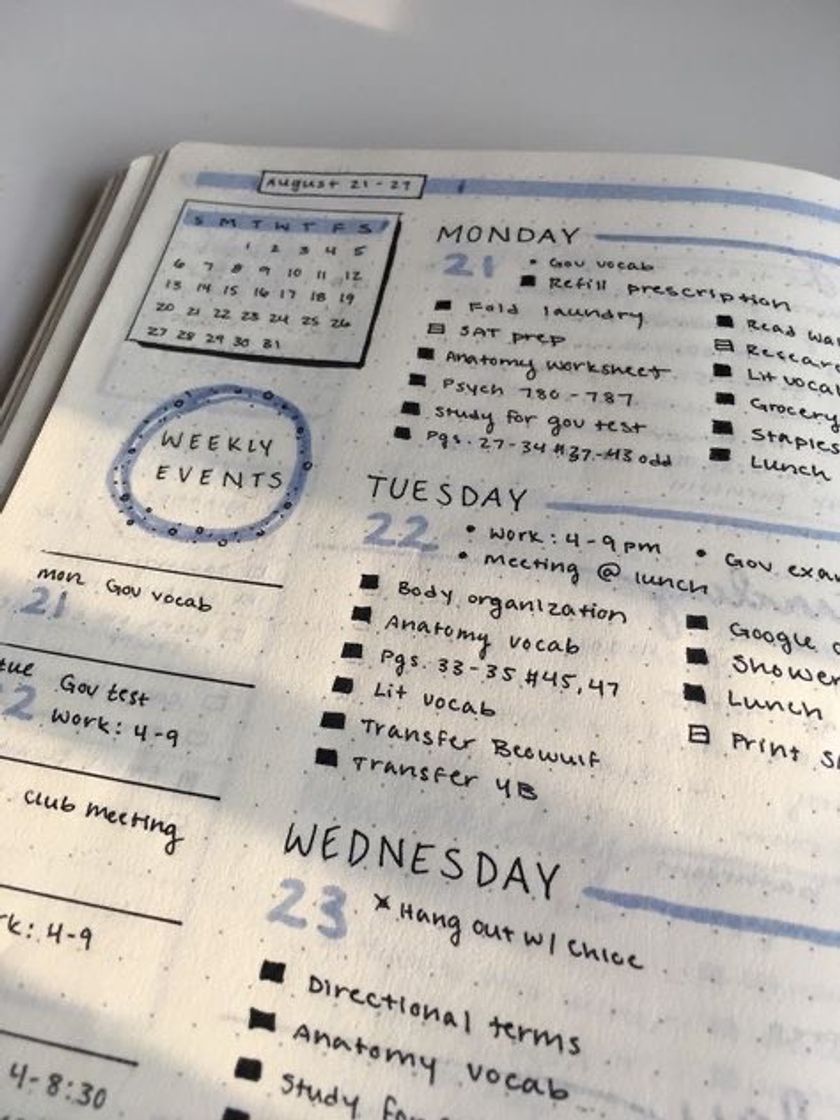 Moda Planner/ Bullet Journal 