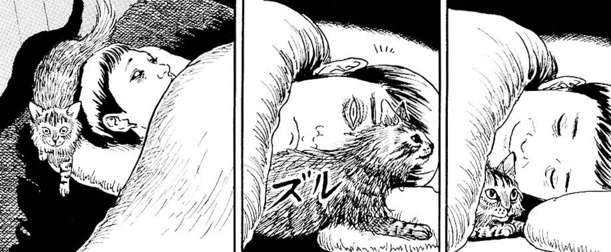 Moda Junji ito - No neko nikki 