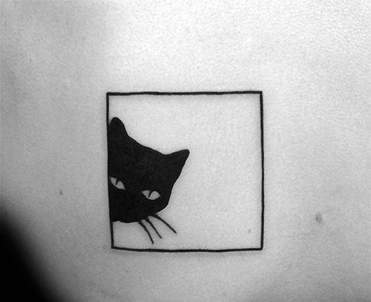 Fashion tatto gato