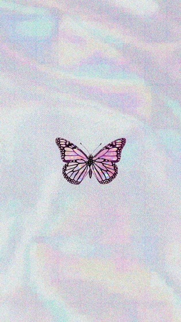 Moda butterfly wallpaper