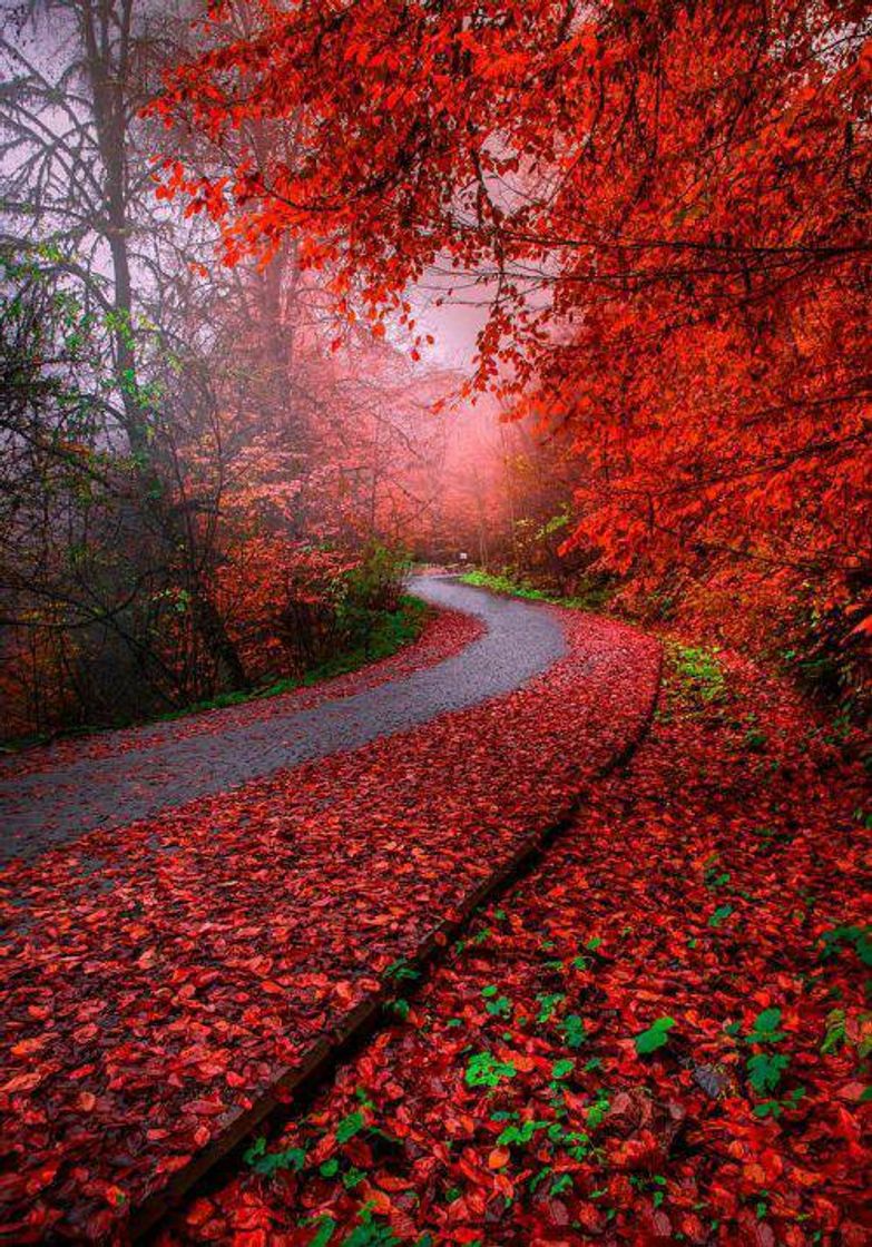 Social https://pin.it/4jwUFKr