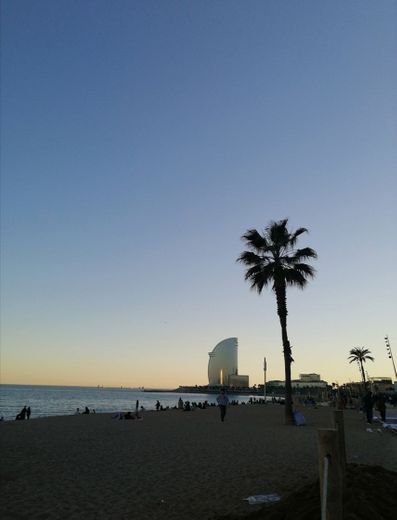 La Barceloneta