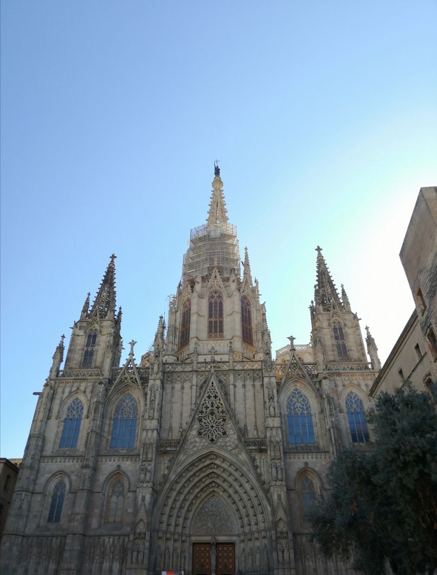 Catedral de Barcelona