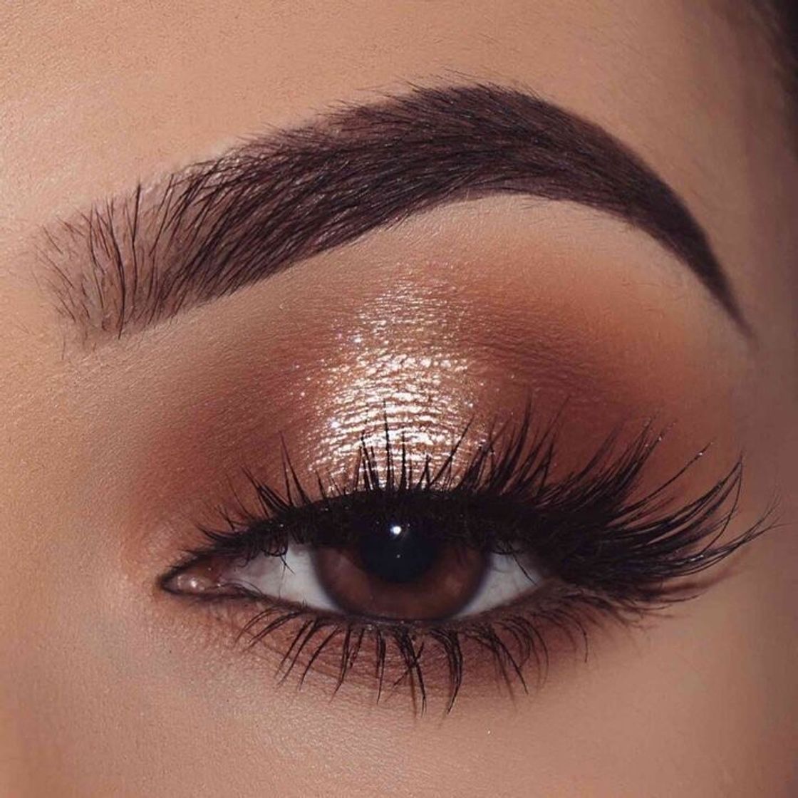 Fashion Brown Shine make up