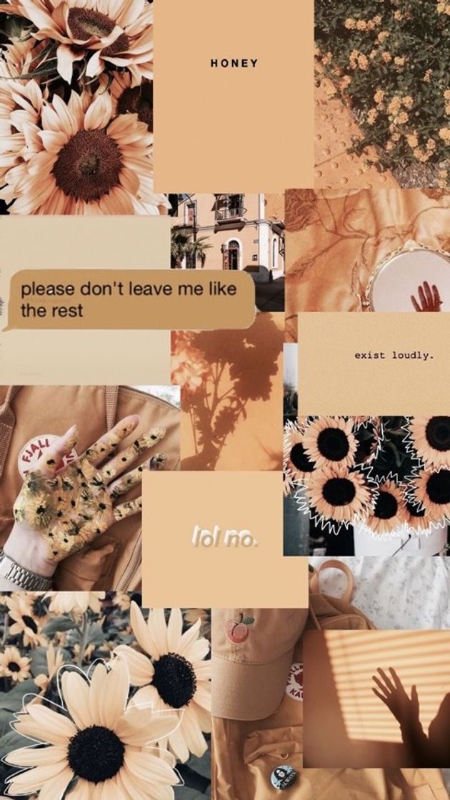 Moda Honey Wallpaper🐝🍯💛