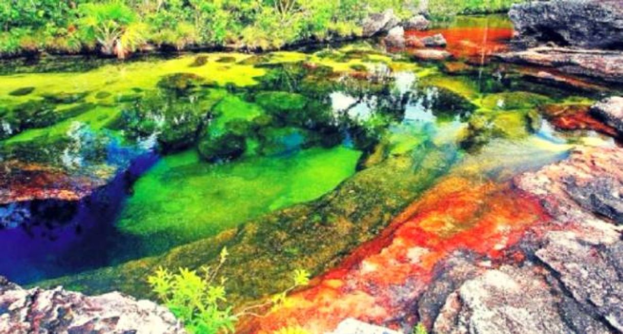 Lugar Caño Cristales