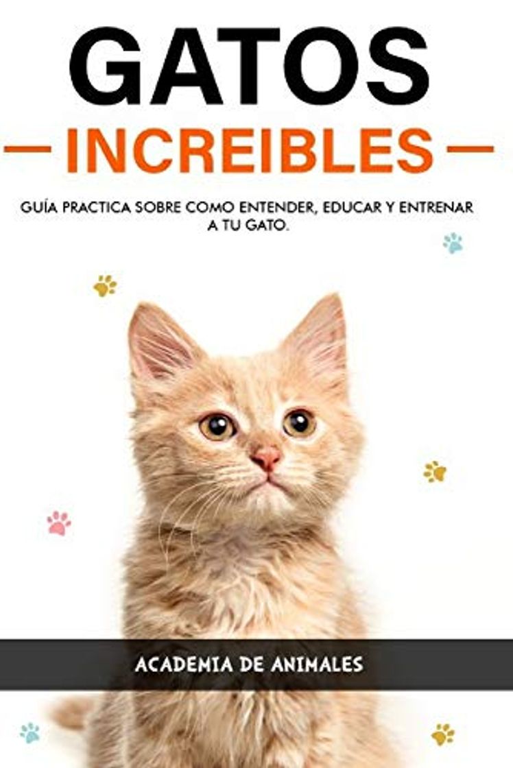 Libro Gatos Increibles: Guía practica sobre como Entender, educar y entrenara tu Gato