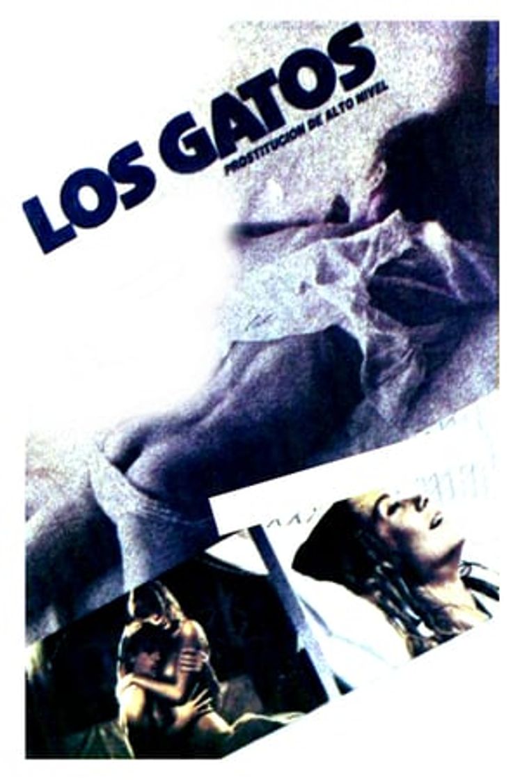 Película Los gatos (Prostitución de alto nivel)