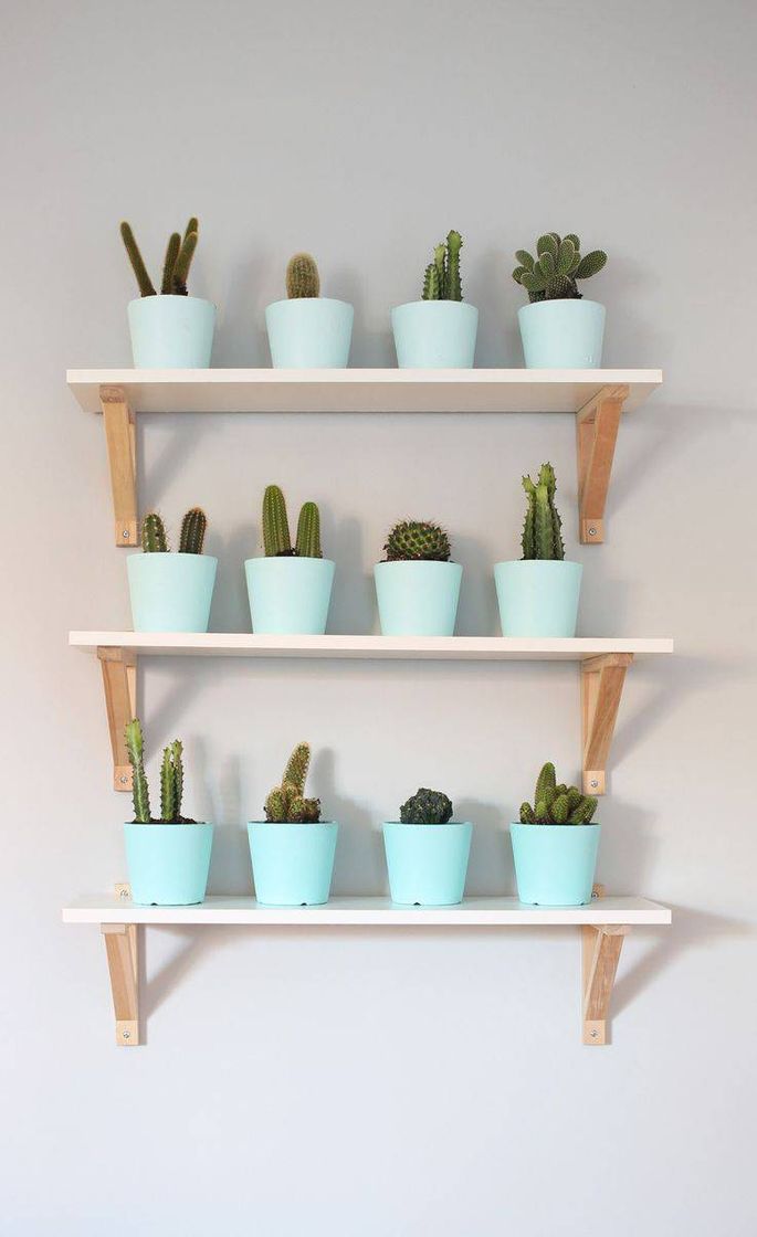 Fashion Las plantas son una buena opción para decorar 