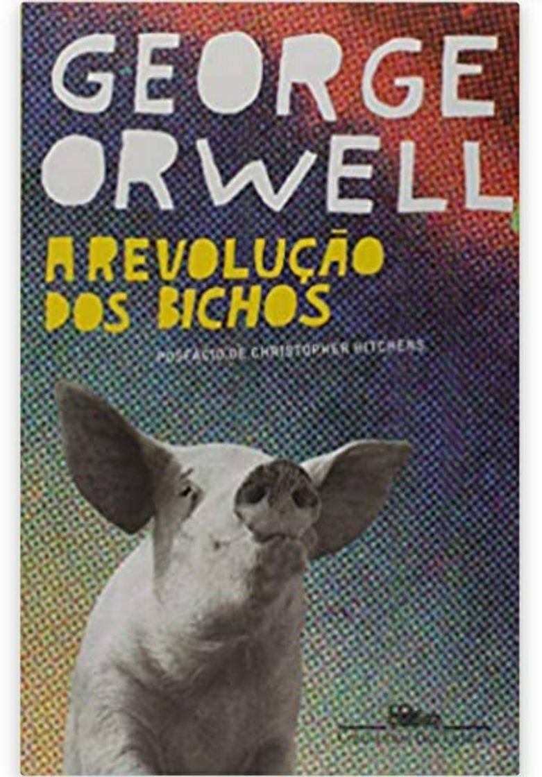 Libro Livros bom