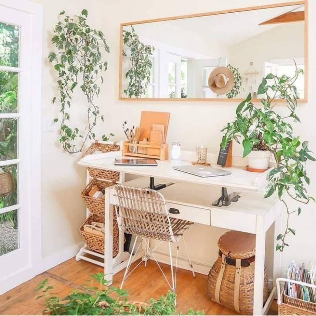Social Escrivaninha com plantas 