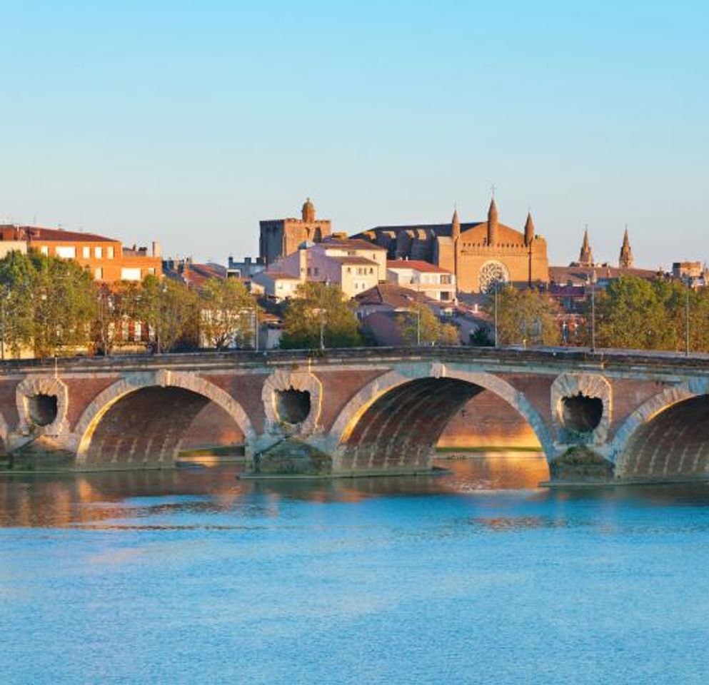 Place Pont Neuf