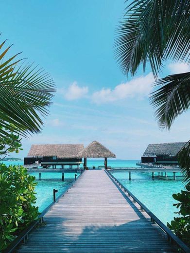 Maldivas 🌊