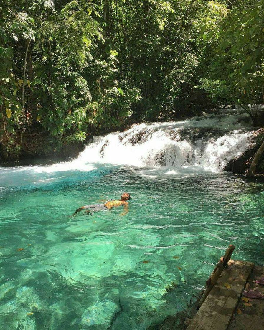 Moda Cachoeira... 🐜